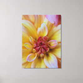 Dahlia Bud Canvastryck