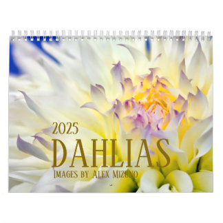 Dahlia Calendar 2025 Kalender