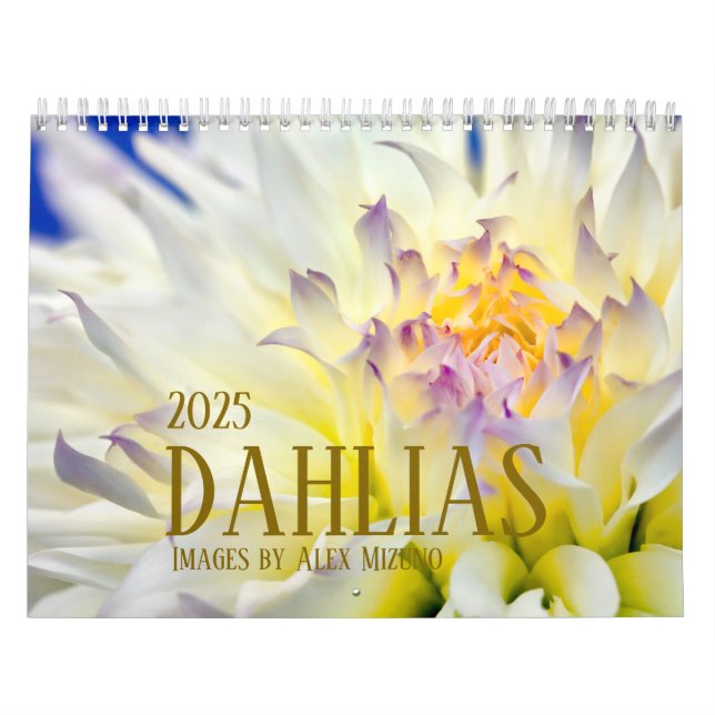 Dahlia Calendar 2025 Kalender (Omslag)