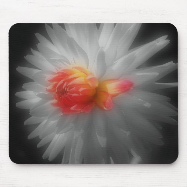 Dahlia Close Flower Black White Mousepad Musmatta (Framsidan)