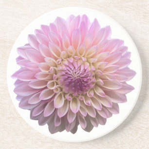 Dahlia Coralie, Rosa Flower Underlägg