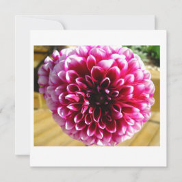 Dahlia Dahlia Dahlia-anteckningskort