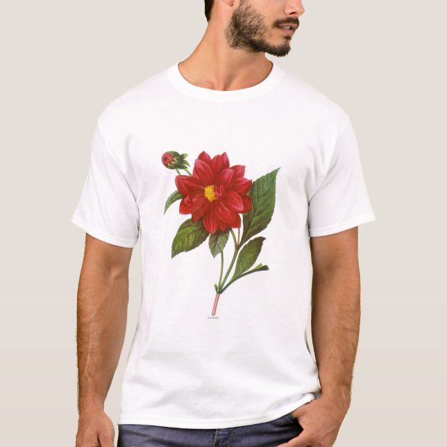 Dahlia (Dahlia Pinnata) T Shirt (Framsida)
