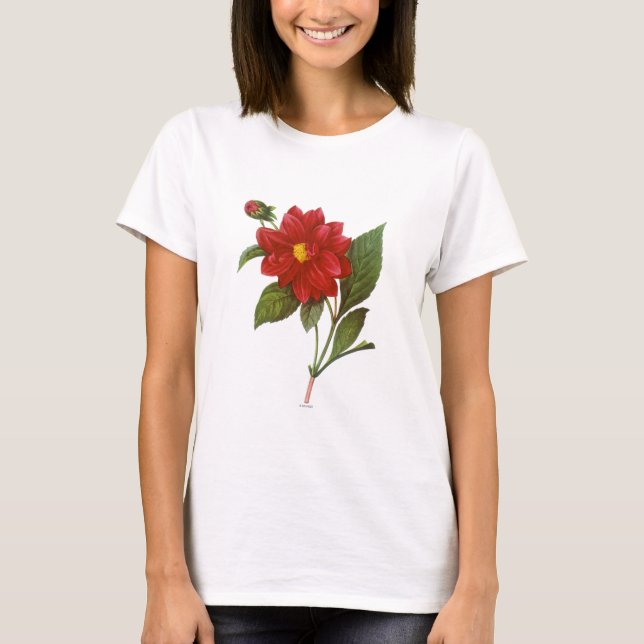 Dahlia (Dahlia Pinnata) Tee Shirt (Framsida)