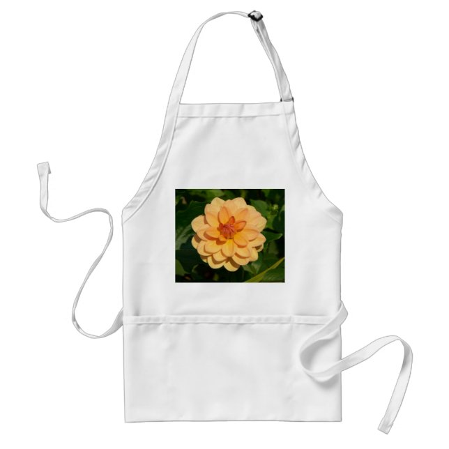 Dahlia 'David Howard' Förkläde (Framsidan)