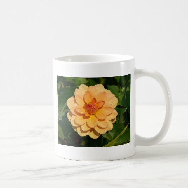Dahlia 'David Howard' Kaffemugg (Höger)