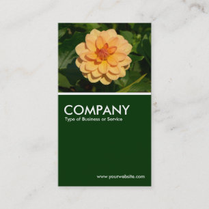 Dahlia "David Howard" - Mörk grönt Visitkort