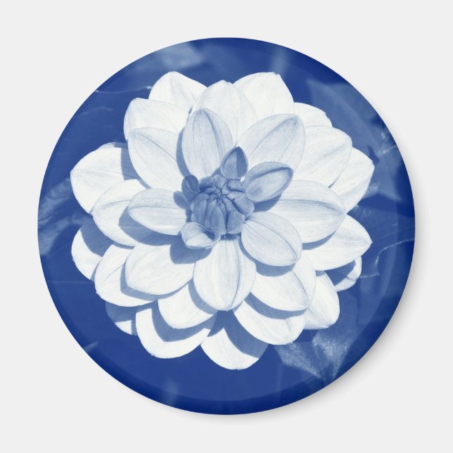 Dahlia - Digital Cyanotype Magnet (Framsidan)