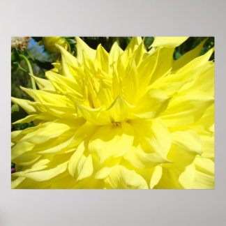 Dahlia Flower art skriver ut ramade presenter på a Poster