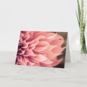 Dahlia Flower Blommar Kort