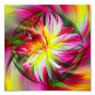 Dahlia Flower Blommigt Abstrakt Art 8x8 Fototryck