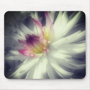 Dahlia Flower Close Black and White Musmatta