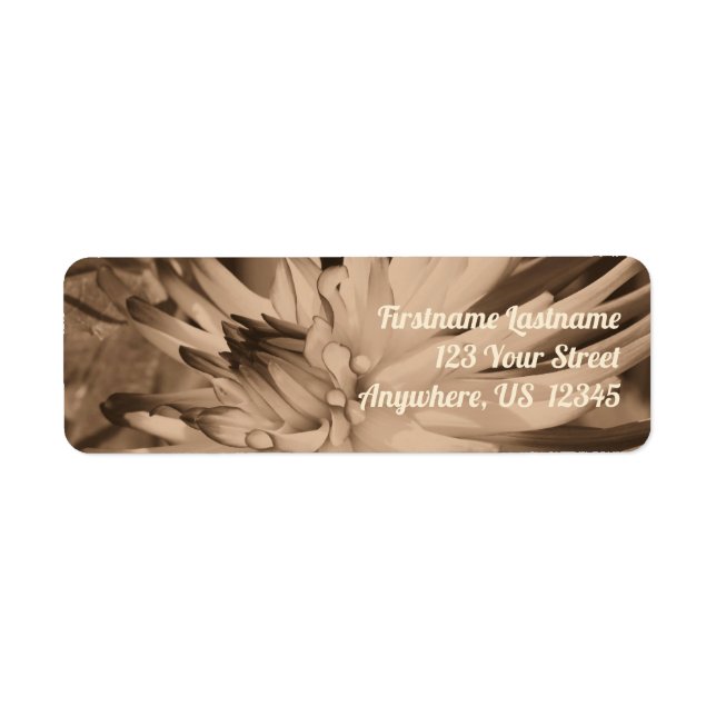 Dahlia Flower Close up in Sepia Adress Returadress Etikett (Framsidan)