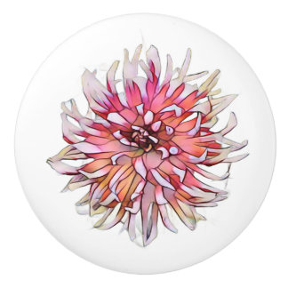 DAHLIA FLOWER KNOPP