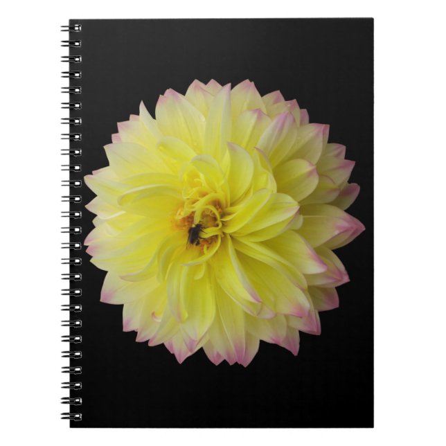 Dahlia Flower Notebook Anteckningsbok Med Spiral (Framsidan)