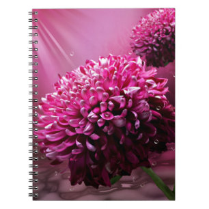 Dahlia Flowers Anteckningsbok