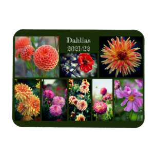 Dahlia Flowers Åtta fotokollage Magnet