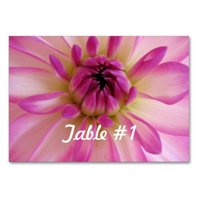Dahlia Flowers Bordsnummer (Framsidan)