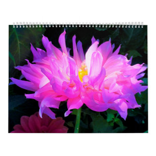 Dahlia Flowers Kalender 2025