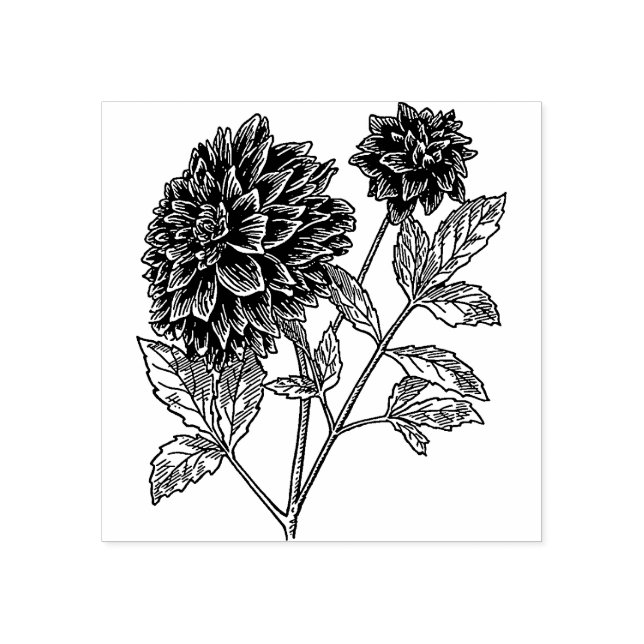 Dahlia flowers  Rubber stamp Stämpel (Tryck)
