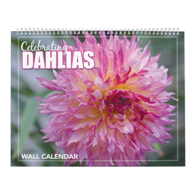 Dahlia Flowers Wall Calendar Kalender (Omslag)