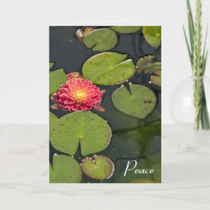 Dahlia Flyter med Lily Dynors Sympathy Tack Kort