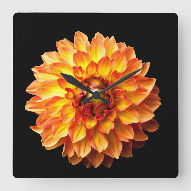 Dahlia Fyrkantig Klocka (Framsida)