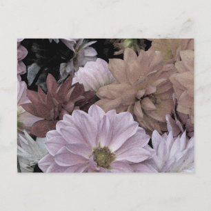 Dahlia Garden Flowers Blommigt Abstrakt Postcard Vykort