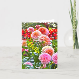 DAHLIA GARDEN/ ROSA OCH PEACH DAHLIAS/ "HEJ" KORT