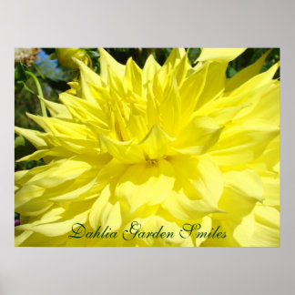 Dahlia Garden Smiles art skriver ut gifts- och gåv Poster