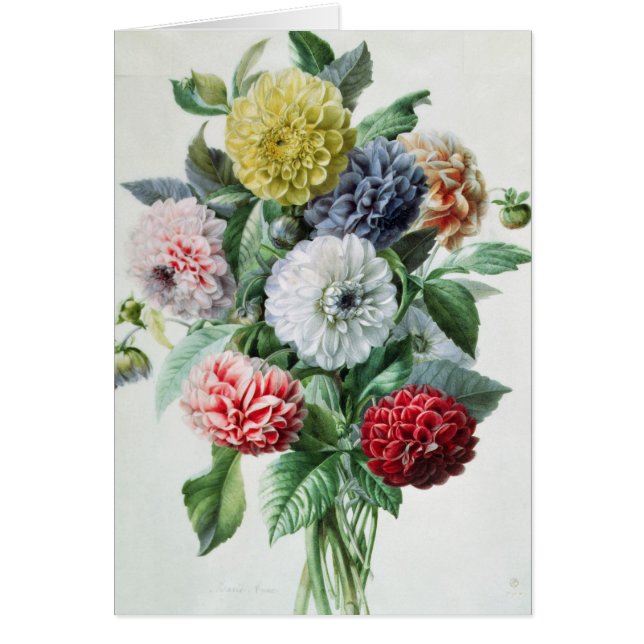 Dahlia Hälsningskort (Framsidan)