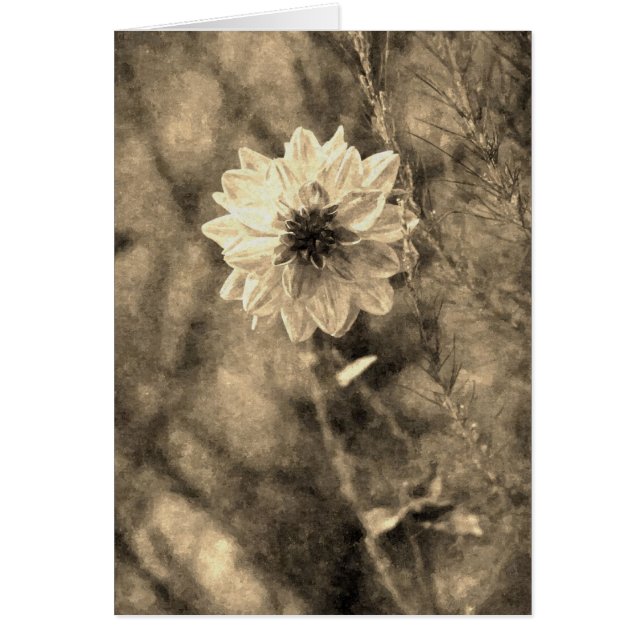 Dahlia Hälsningskort (Framsidan)