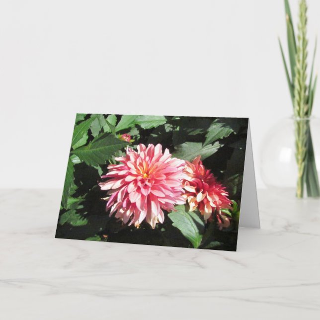 Dahlia-hälsningskort Kort (Framsida)