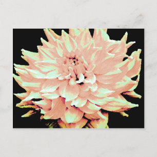 Dahlia - Honeymoon - blekens persika Vykort