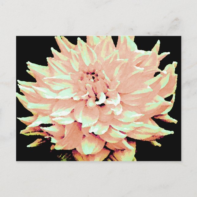 Dahlia - Honeymoon - blekens  persika Vykort (Framsida)