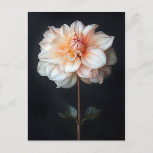 Dahlia in Bloom Botanical Painting Vykort