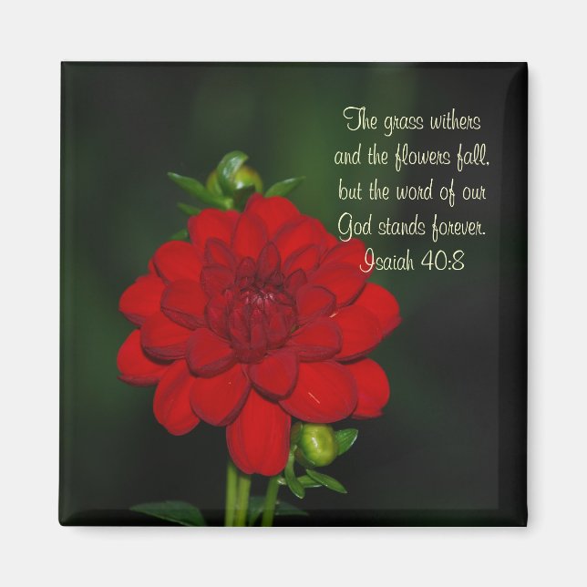 Dahlia Isaiah 40:8 Magnet (Framsidan)
