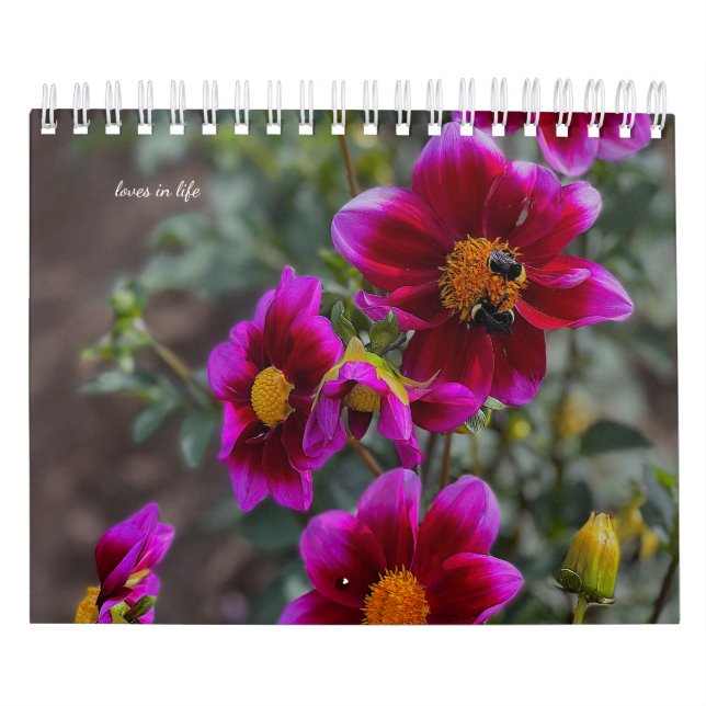 Dahlia Kalender (Omslag)