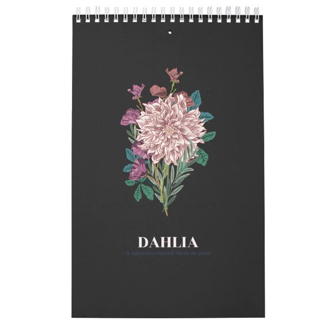 DAHLIA KALENDER (Omslag)