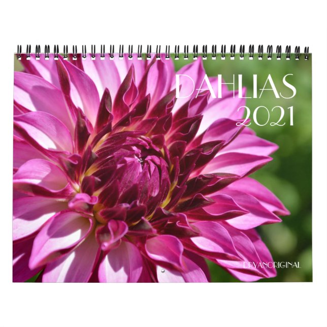 DAHLIA-kalendern 2021 Kalender (Omslag)