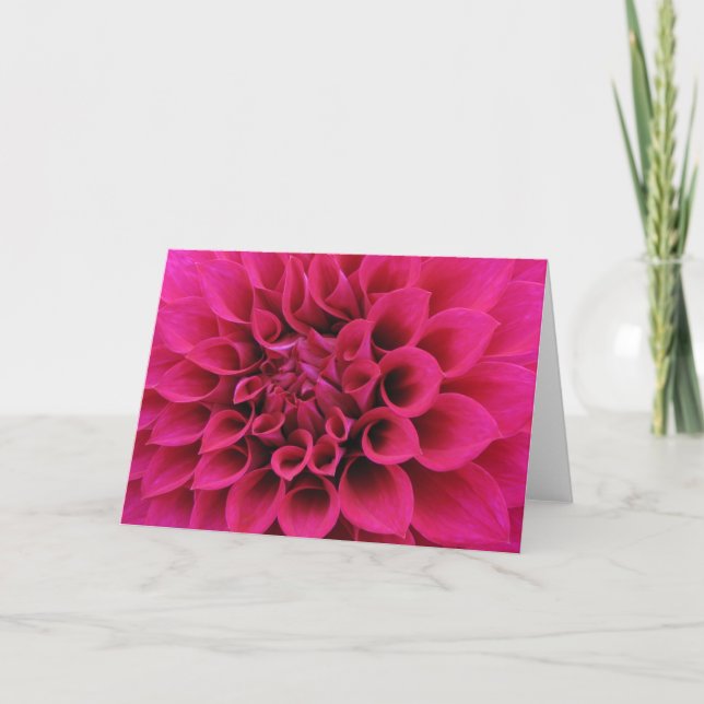 Dahlia Kort (Framsida)