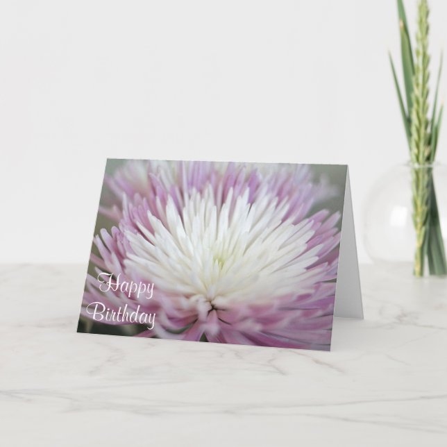 Dahlia Kort (Framsida)