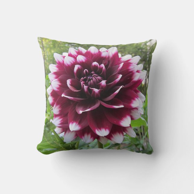 Dahlia Kudde (Framsida)