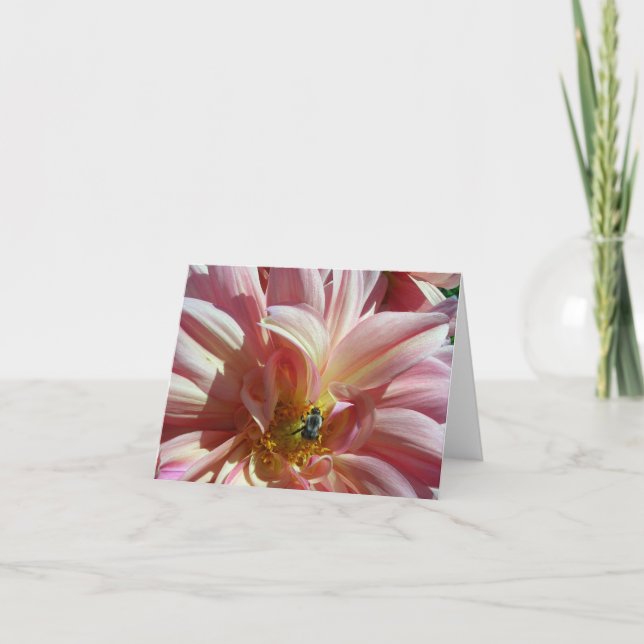 Dahlia med Bee Kort (Framsida)