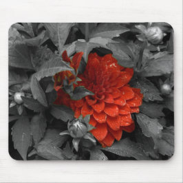 Dahlia-mousepad Musmatta
