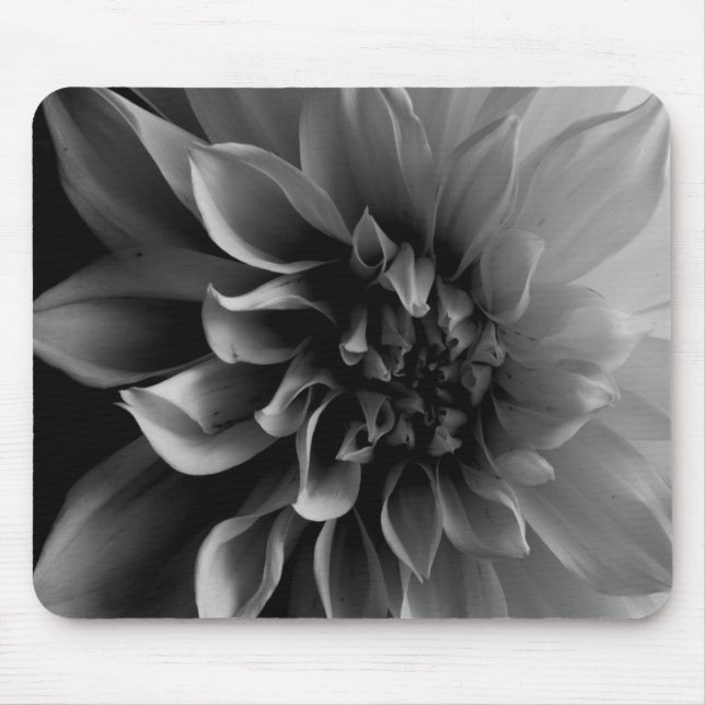 Dahlia Musmatta (Framsidan)