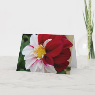 Dahlia Notecards Kort