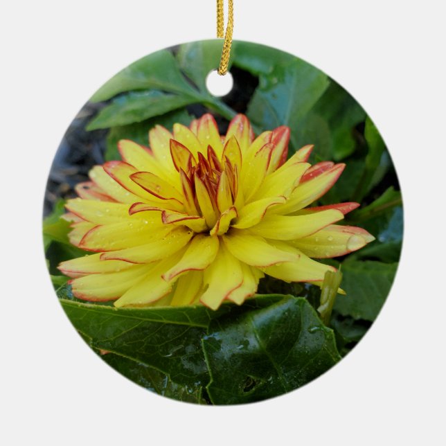 Dahlia ornament (Framsidan)