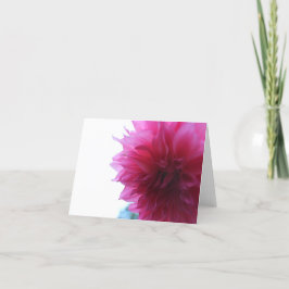 Dahlia Pink Garden  Helgkort