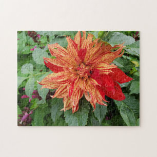 Dahlia Pussel